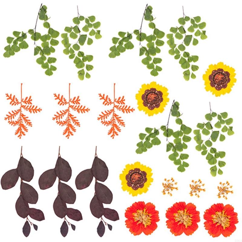 Natural Pressed Dried Flower F - огляд і ціна Resin Craft Ideas